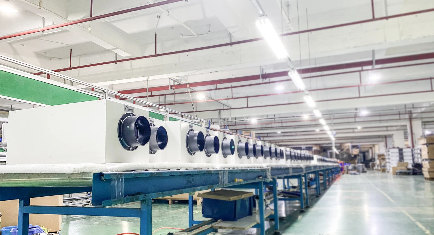 Enchoy Production Line